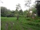 Firefly NSW 2429