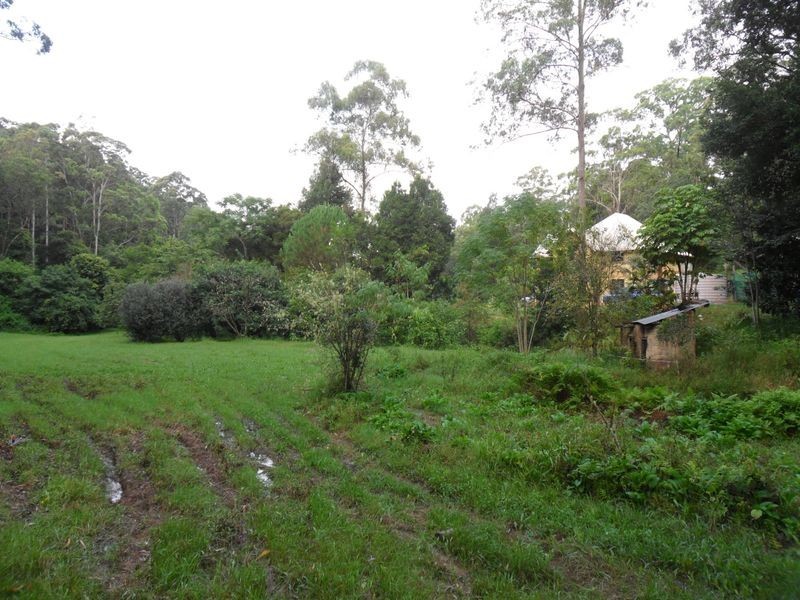 Firefly NSW 2429
