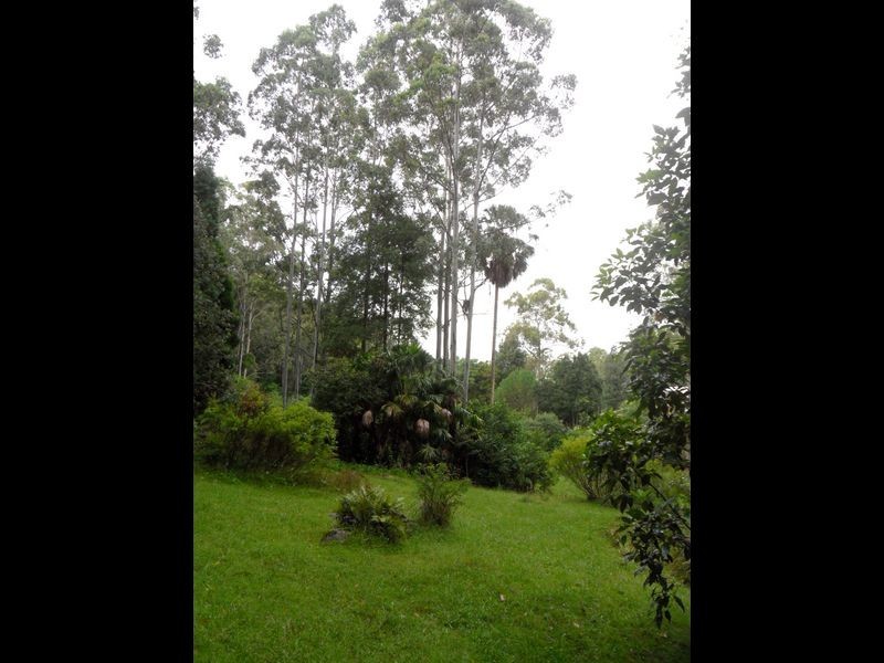Firefly NSW 2429