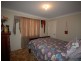 Wingham NSW 2429