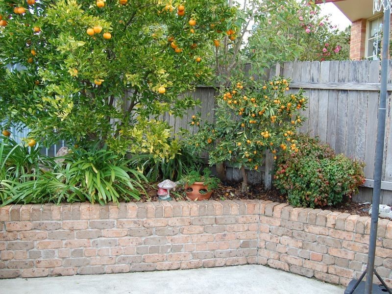14 Sunset Avenue, Wingham NSW 2429