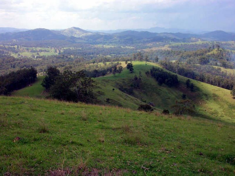 Wherrol Flat NSW 2429