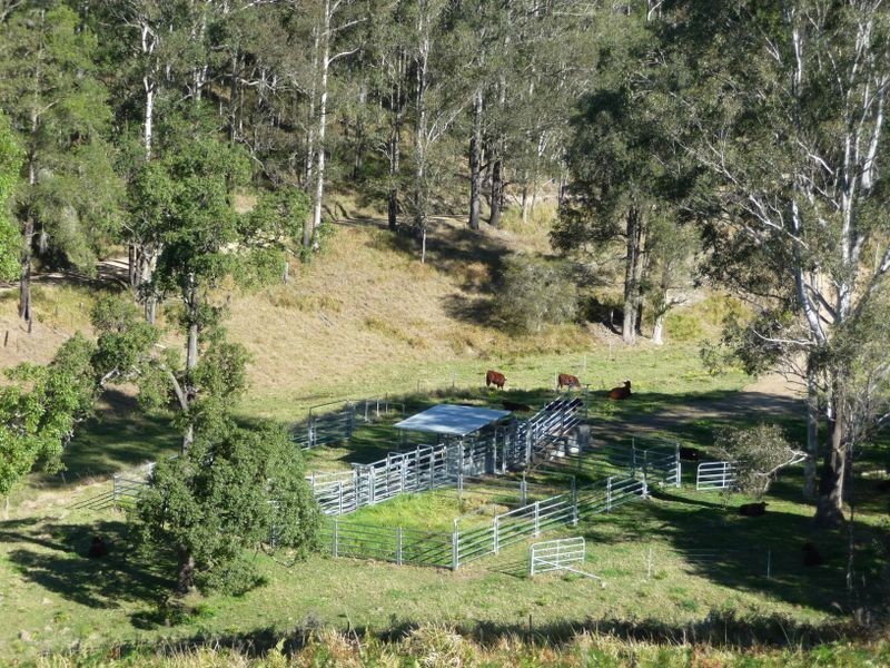Wherrol Flat NSW 2429