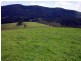 Wherrol Flat NSW 2429