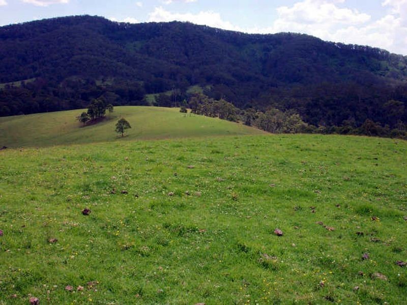 Wherrol Flat NSW 2429