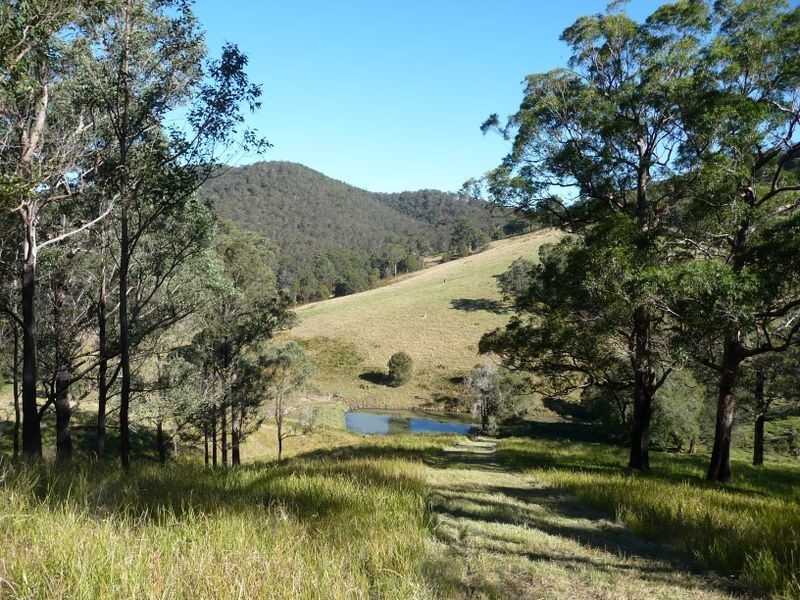 Wherrol Flat NSW 2429