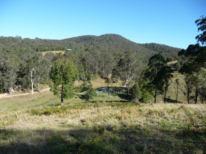 Wherrol Flat NSW 2429
