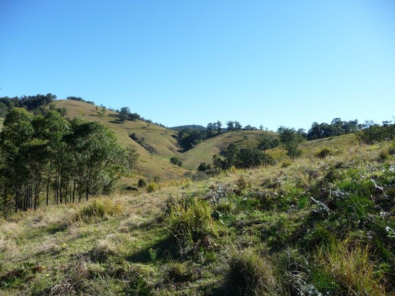 Wherrol Flat NSW 2429