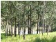 Wherrol Flat NSW 2429