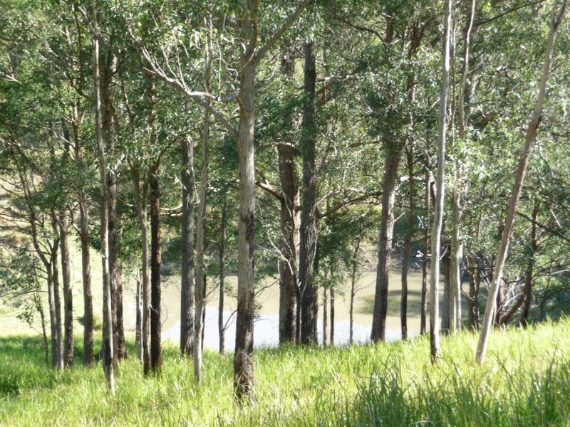 Wherrol Flat NSW 2429