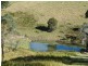Wherrol Flat NSW 2429