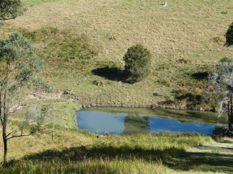 Wherrol Flat NSW 2429