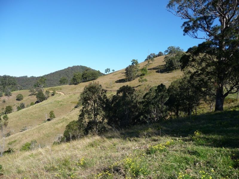 Wherrol Flat NSW 2429
