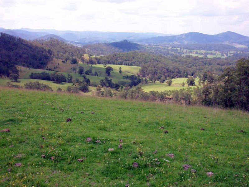 Wherrol Flat NSW 2429