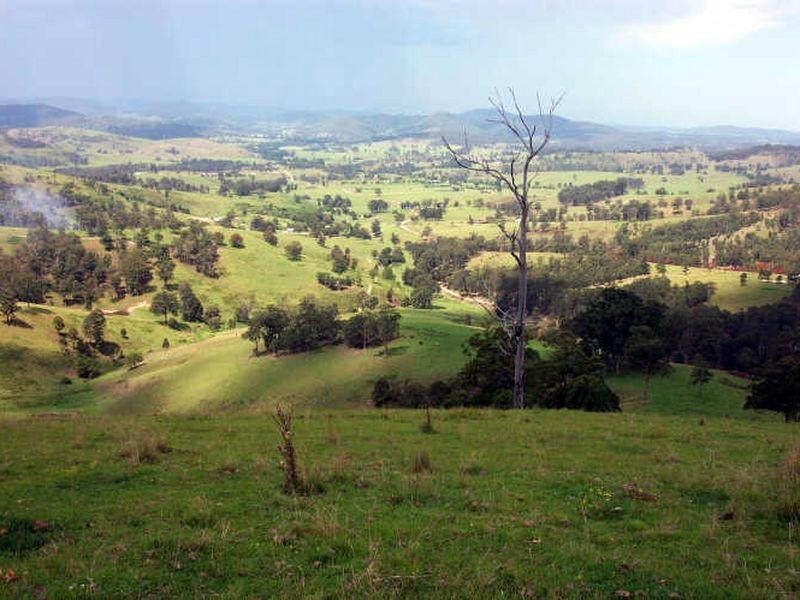 Wherrol Flat NSW 2429