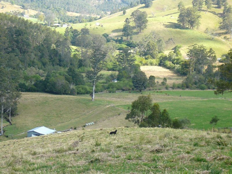 Mooral Creek NSW 2429