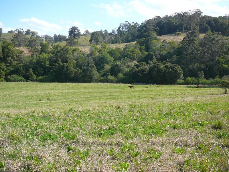 Mooral Creek NSW 2429