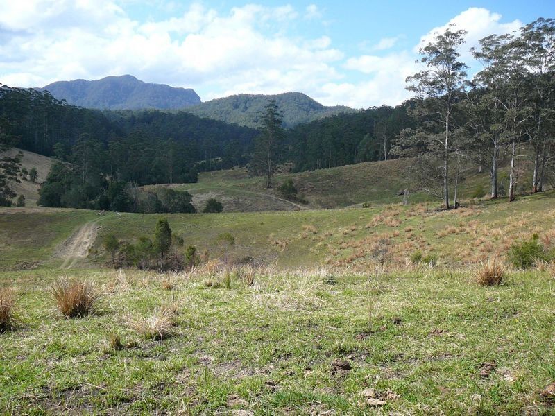 Mooral Creek NSW 2429