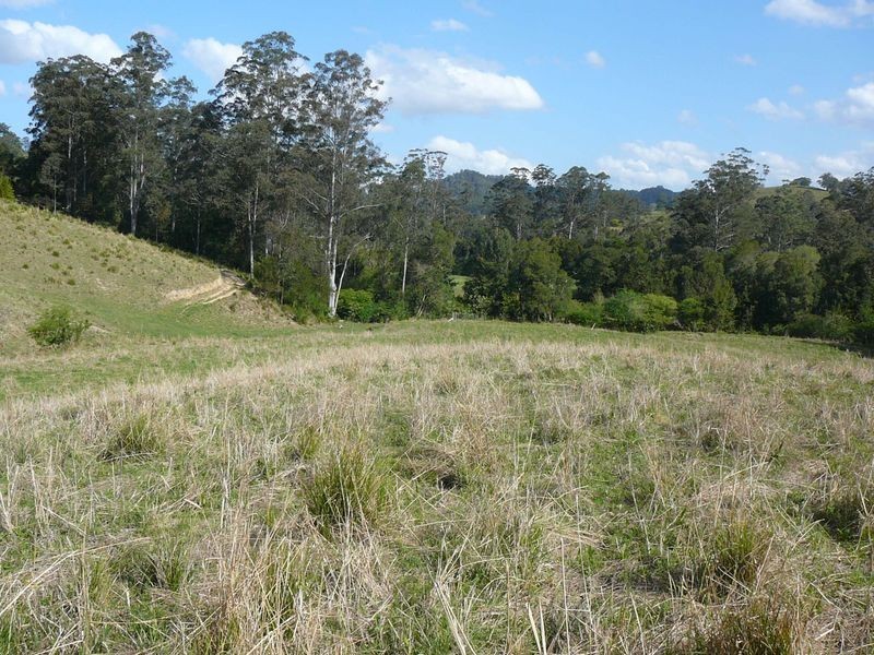 Mooral Creek NSW 2429