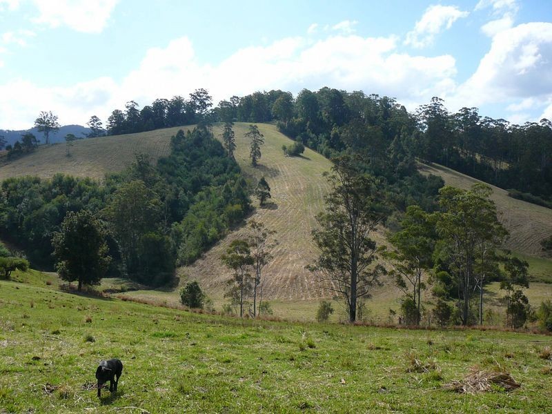 Mooral Creek NSW 2429