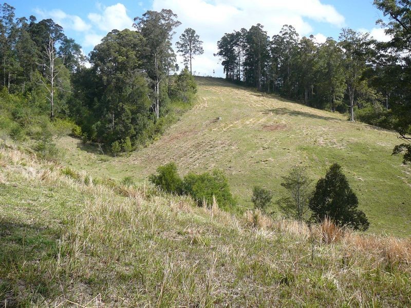 Mooral Creek NSW 2429