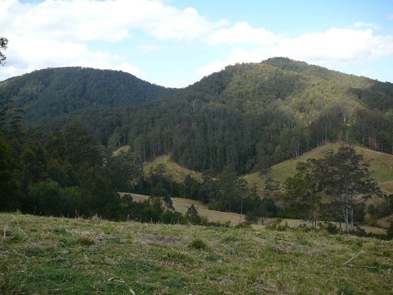 Mooral Creek NSW 2429