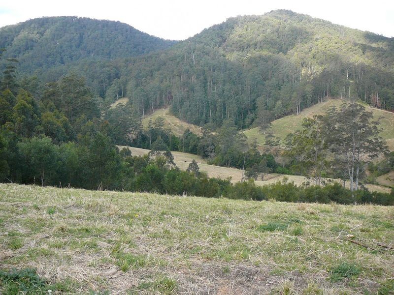 Mooral Creek NSW 2429