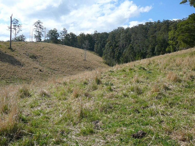 Mooral Creek NSW 2429