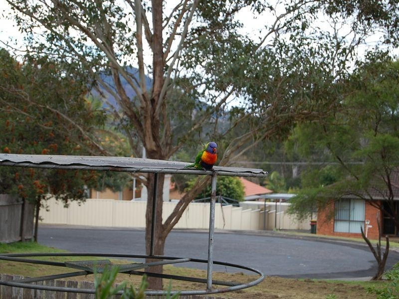 3 Appaloosa Place, Wingham NSW 2429