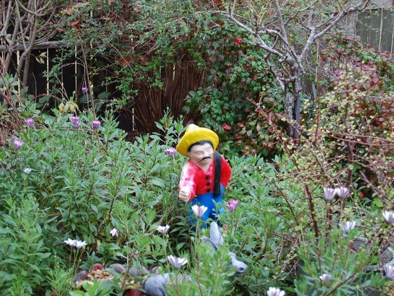 3 Appaloosa Place, Wingham NSW 2429