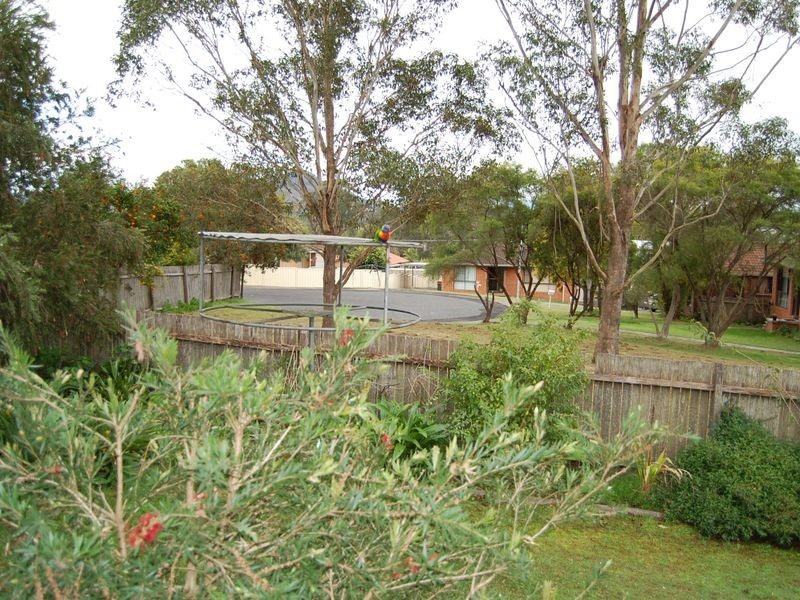 3 Appaloosa Place, Wingham NSW 2429