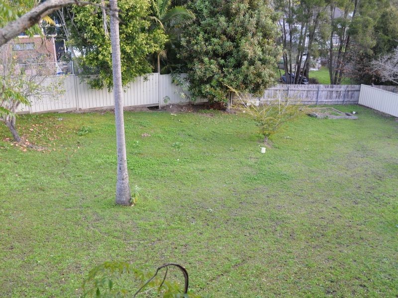 17 Gollan Street, Wingham NSW 2429