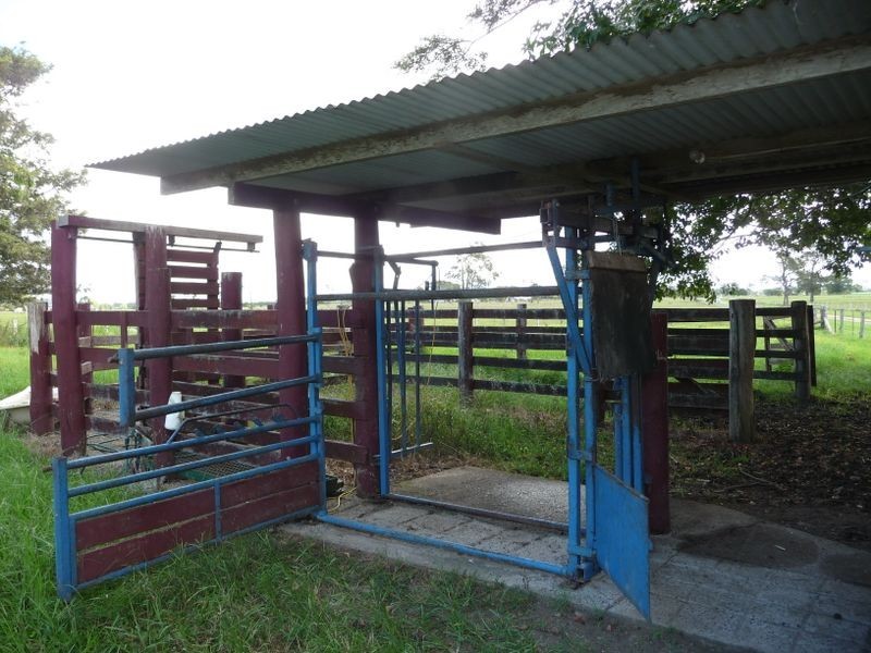 Jones Island NSW 2430