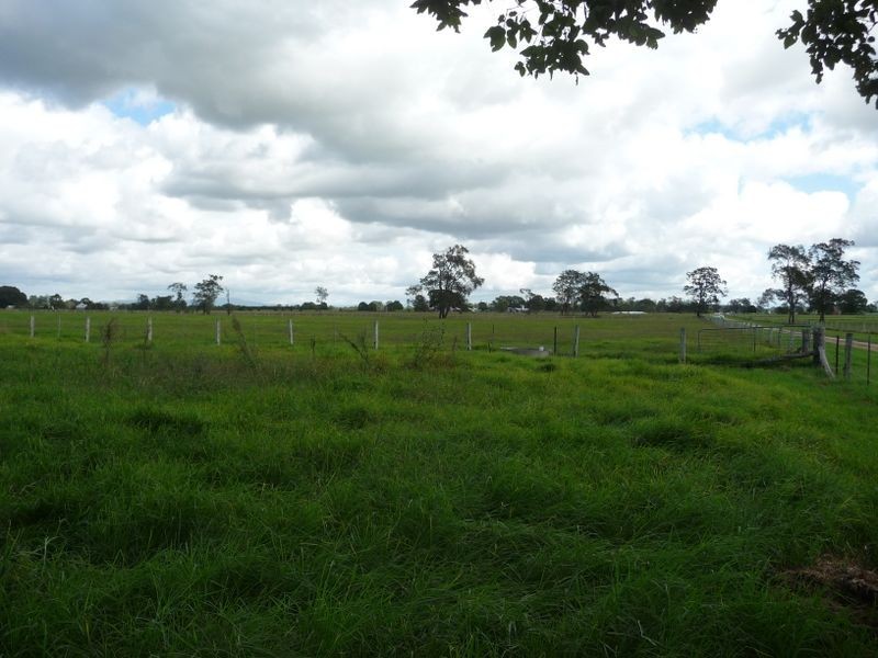Jones Island NSW 2430