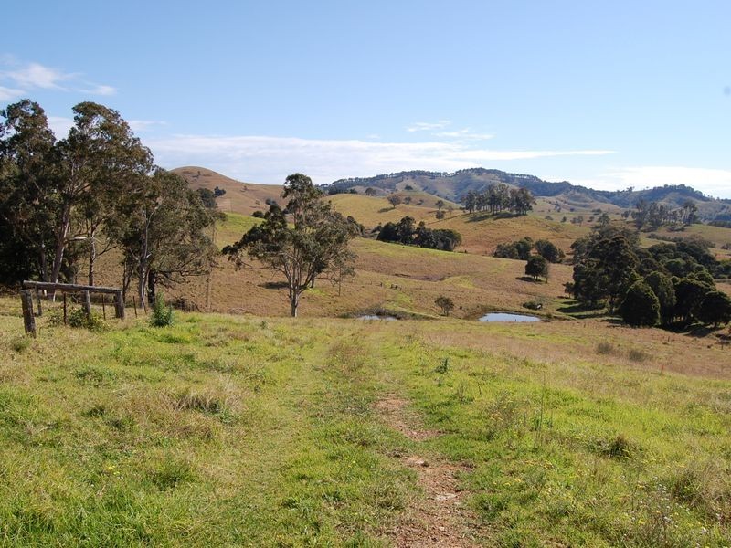 Firefly NSW 2429