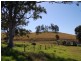 Firefly NSW 2429