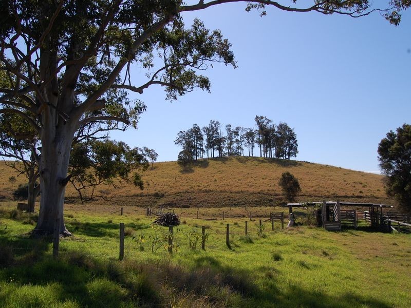 Firefly NSW 2429