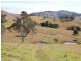 Firefly NSW 2429