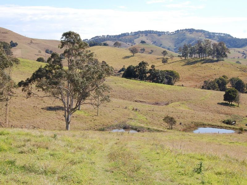 Firefly NSW 2429