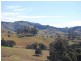 Firefly NSW 2429