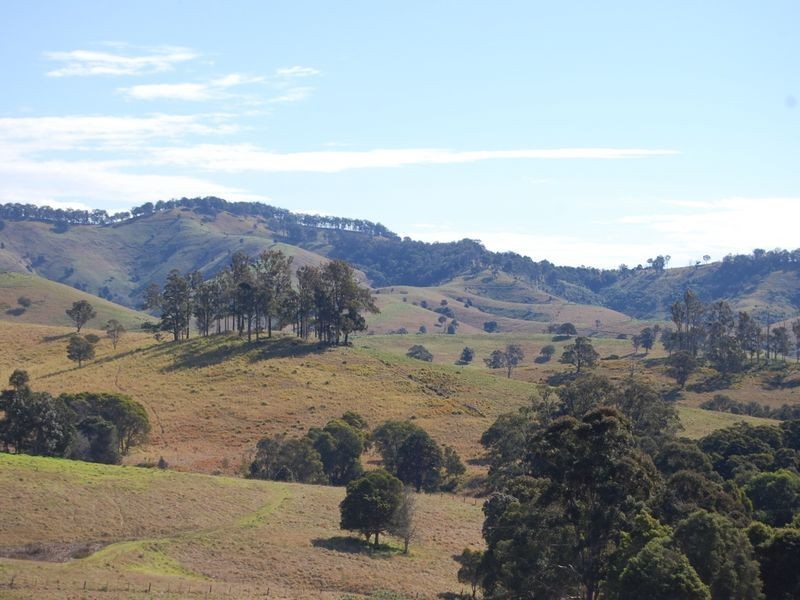 Firefly NSW 2429