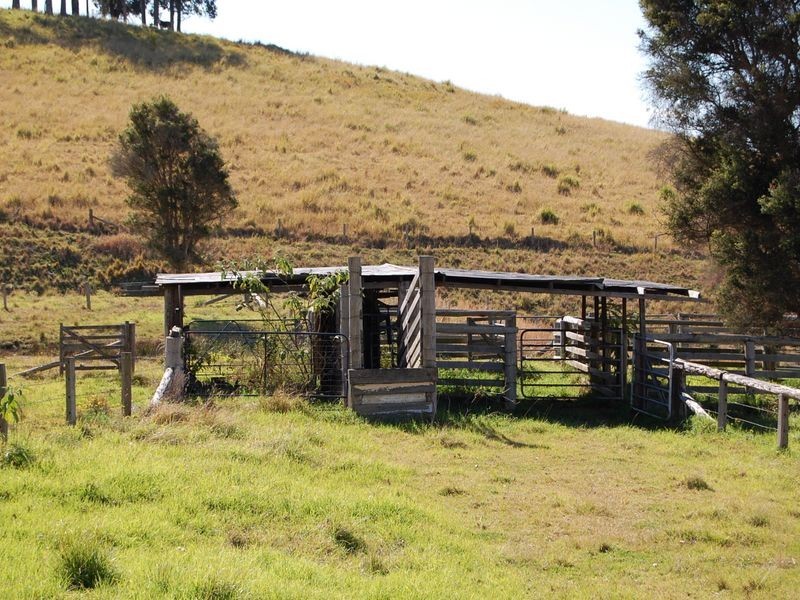Firefly NSW 2429