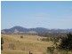 Firefly NSW 2429