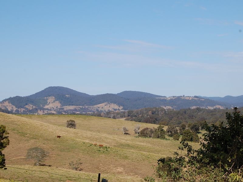 Firefly NSW 2429