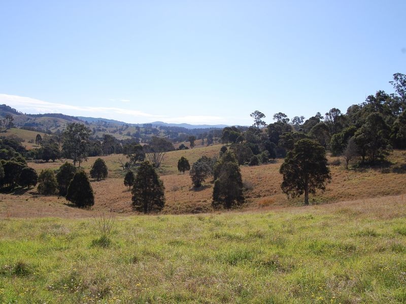 Firefly NSW 2429