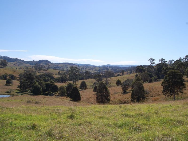 Firefly NSW 2429