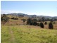 Firefly NSW 2429
