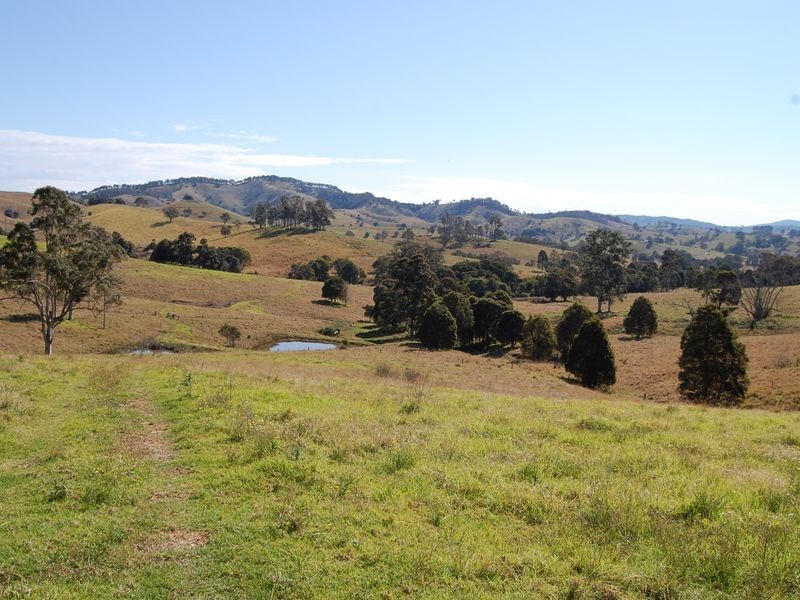 Firefly NSW 2429