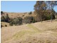 Firefly NSW 2429