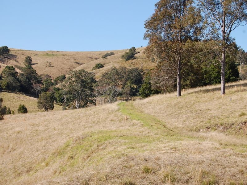 Firefly NSW 2429